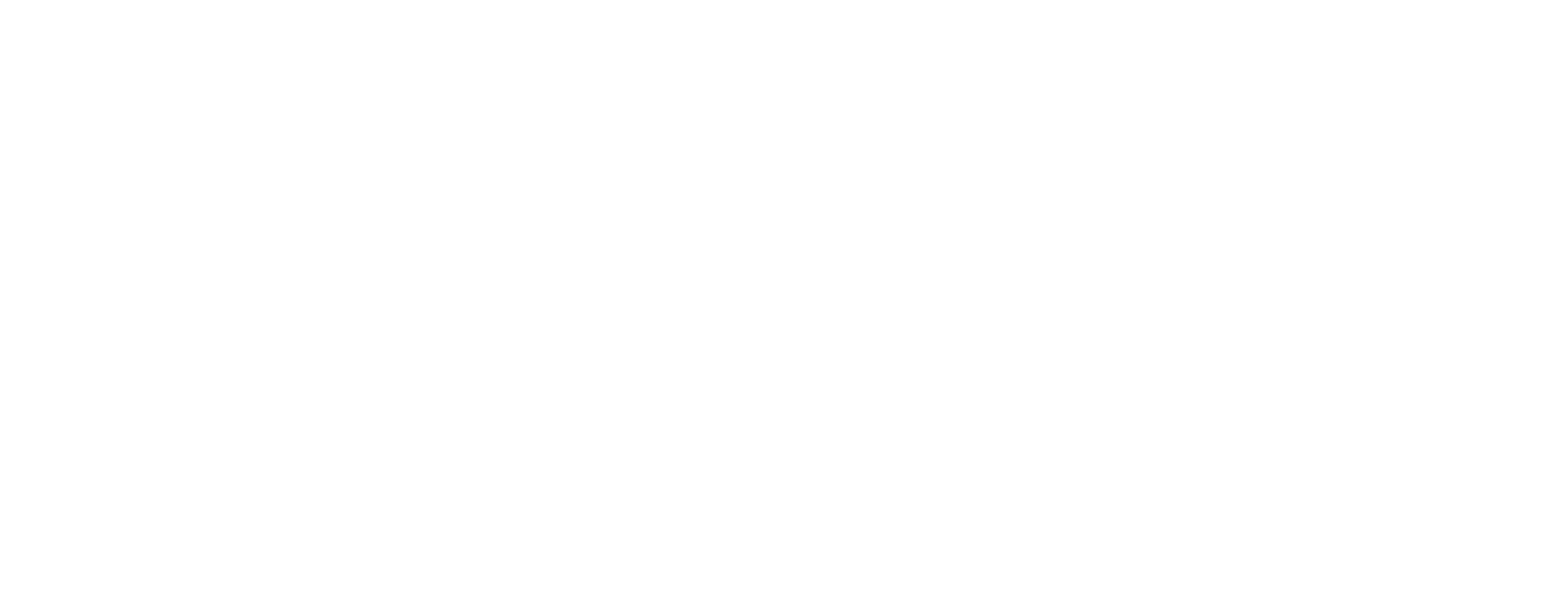design perspective logo