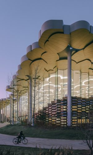 Beijing Library_Photo by Zhu Yumeng